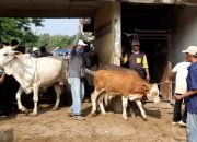 Pembangunan Pasar Hewan Pamotan Gagal Dilaksanakan Tahun Ini, Ini Penyebabnya