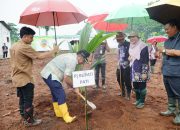 Optimis Pati Jadi Rujukan Budidaya Kelapa Kopyor