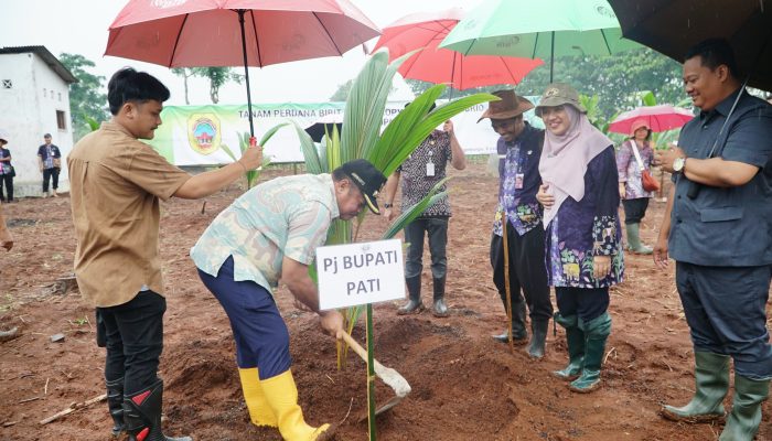 Optimis Pati Jadi Rujukan Budidaya Kelapa Kopyor
