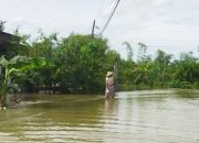 Musim Hujan, Sejumlah Wilayah di Pati Berpotensi Dilanda Banjir Bandang