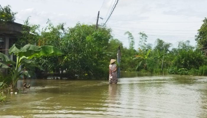 Musim Hujan, Sejumlah Wilayah di Pati Berpotensi Dilanda Banjir Bandang