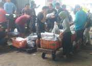 Awal Tahun, Harga Ikan Tongkol di Pati Naik
