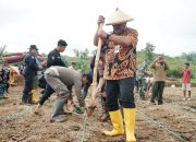 Dukung Ketahanan Pangan Nasional, Targetkan Tanam Ratusan Hektare Jagung di Pati