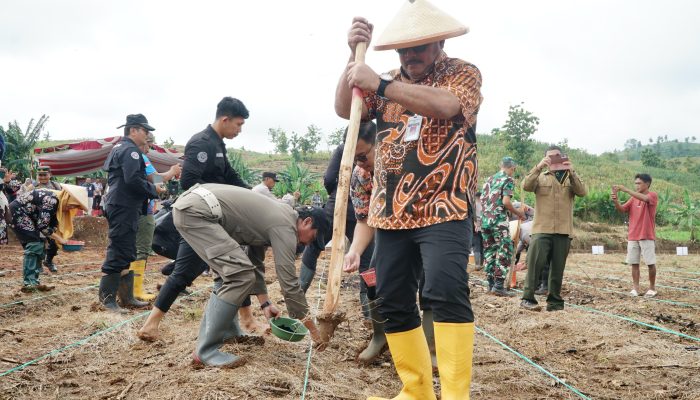 Dukung Ketahanan Pangan Nasional, Targetkan Tanam Ratusan Hektare Jagung di Pati