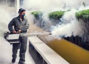 Cegah DB, Dinkes Tuban Gencar Lakukan Fogging