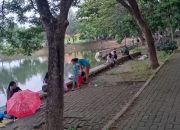Rowo Setro Pilihan Cocok bagi Pemancing, Tawarkan Suasana Sejuk dan Asri