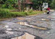 Tahun Ini Pemerintah Perbaiki 16 Jalan Rusak di Pati, Anggaran Capai Rp 90 Miliar