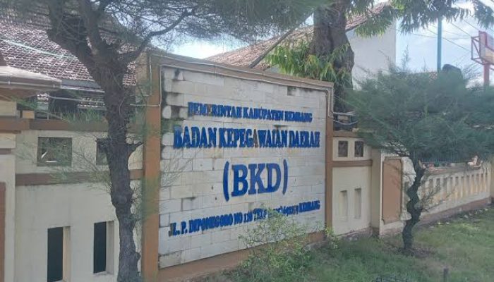 Tak Lagi Digaji, Berikut Sebaran Ratusan THL Rembang yang Gagal Lolos PPPK
