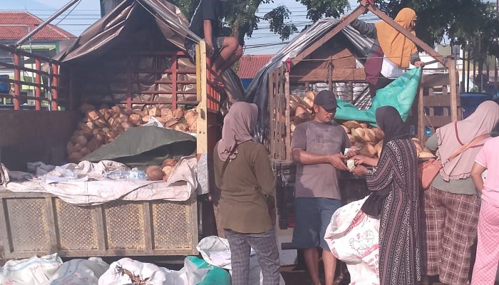 Jelang Kupatan, Harga Kelapa Meroket