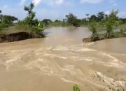 Tanggul Sungai di Demak Jebol Akibat Hujan Lebat, Warga Masih Menanti Bantuan