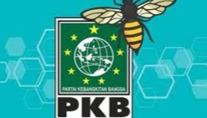 Ketua DPC PKB Pati Mendadak Diganti