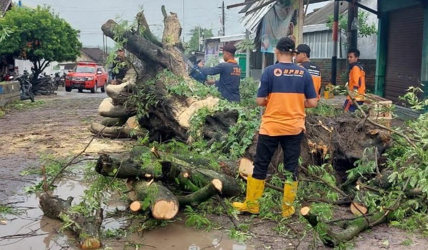 Curah Hujan Tinggi Picu Rentetan Bencana di Rembang